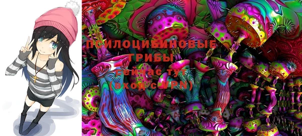 прущий лед Лиски