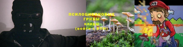 прущий лед Лиски
