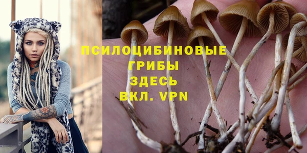 спайс Лихославль