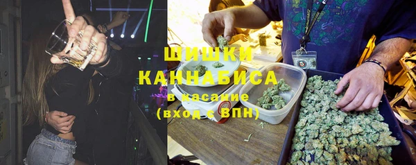соль ск Липки