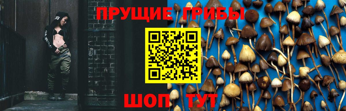 Галлюциногенные грибы ЛСД  Псилоцибиновые грибы MAGIC MUSHROOMS  Брянск 